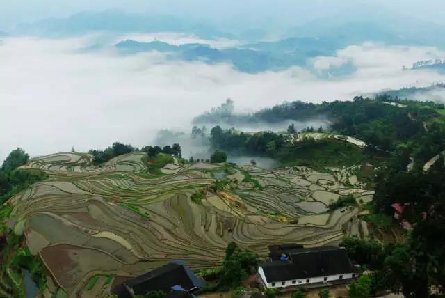 石柱楓木鄉最新動(dòng)態(tài)，自信與成就感的蛻變之路