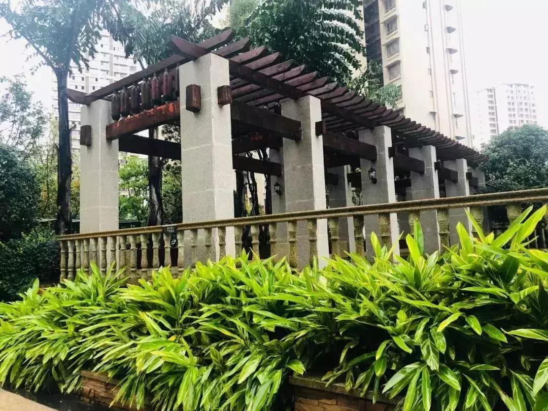 陽(yáng)光江山金岸最新動(dòng)態(tài)揭秘，全面指南與步驟詳解