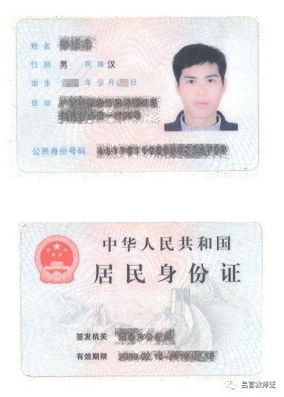 最新證照，友情與陪伴的溫馨故事之旅