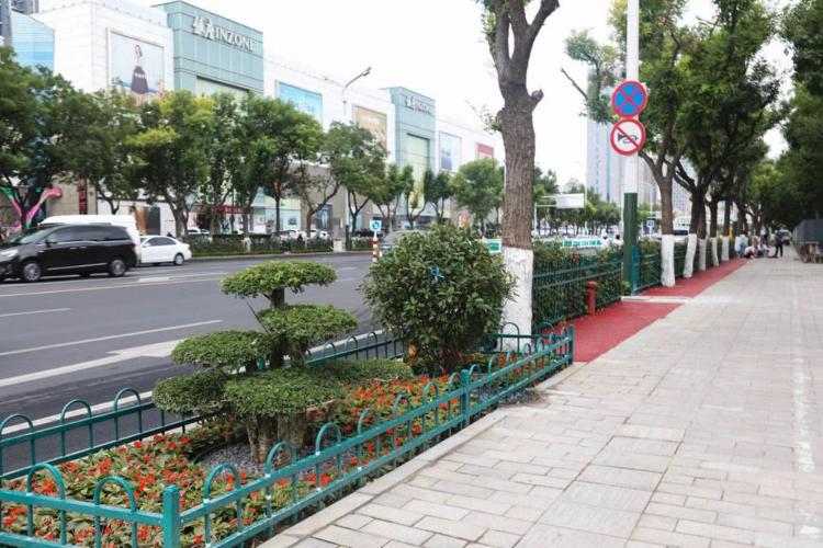 濰坊市奎文區改造工程，自然美景的探索之旅