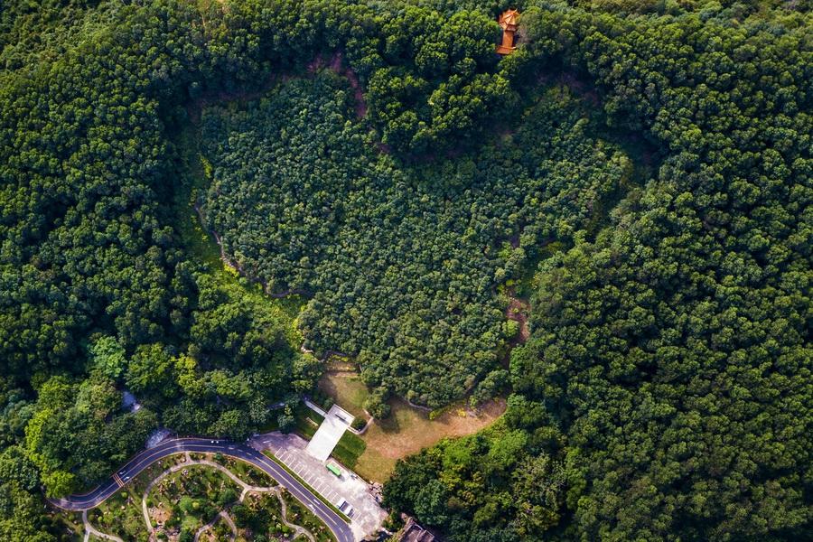 香港演員林，溫馨日常的點(diǎn)滴記錄