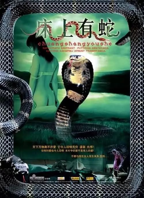 最新蛇片，蛻變的旅程，召喚自信與成就感的冒險之旅