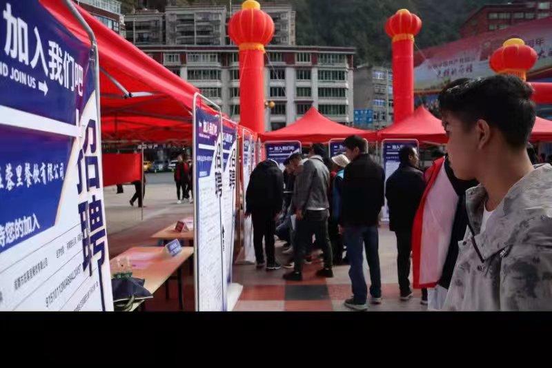 青白江招聘信息探索，小巷中的職業(yè)機遇