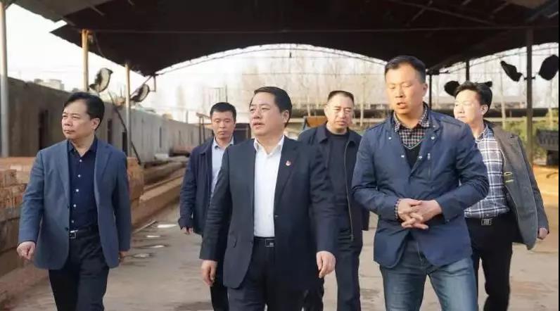 商丘王仲田最新動(dòng)態(tài)，探索自然美景的旅行，尋求內心平和之旅