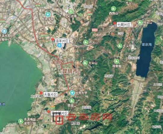 呈貢區發(fā)展動(dòng)態(tài)，巷弄深處的驚喜探索特色小店發(fā)展消息