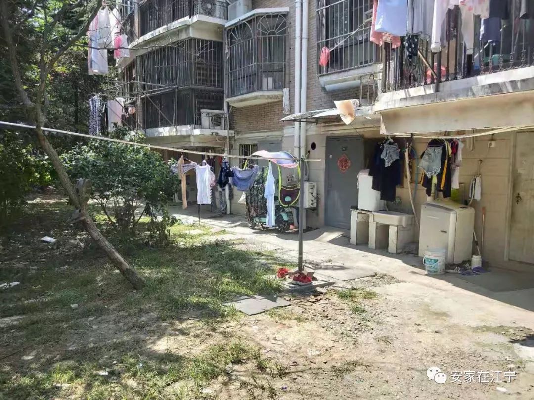 最新大雜亂時(shí)代，混沌與秩序的重建之路