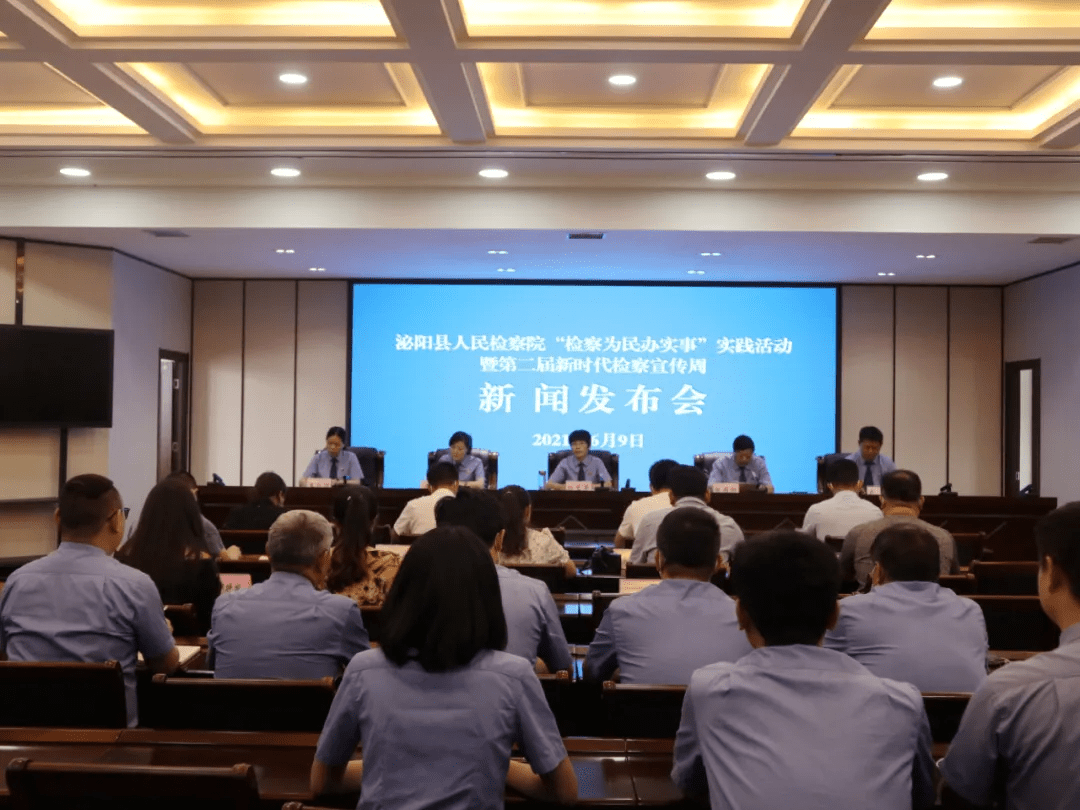 泌陽(yáng)新聞最新動(dòng)態(tài)，多元視角下的觀(guān)察與思考