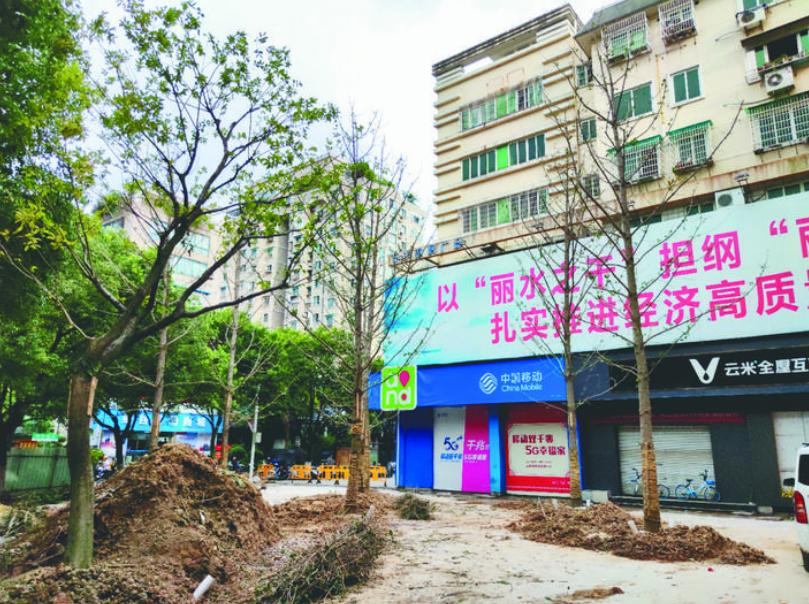 最新吊車(chē)網(wǎng)，自然美景之旅與內心平靜的探尋