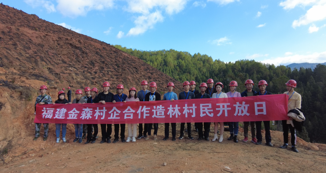 福建金森最新動(dòng)態(tài)及相關(guān)觀(guān)點(diǎn)深度解析