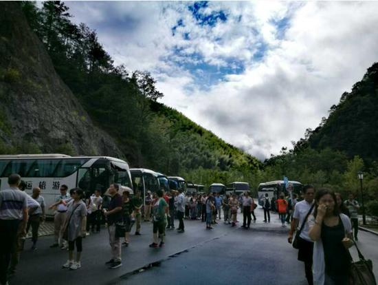 泰順高鐵最新動(dòng)態(tài)更新，最新消息一覽