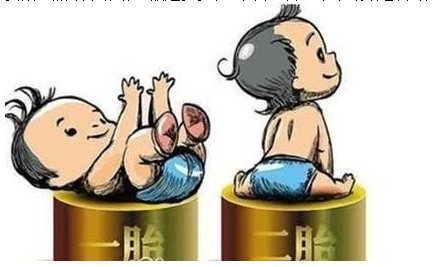 最新雙胞胎補助政策，攜手同行，助力孕育夢(mèng)想之路