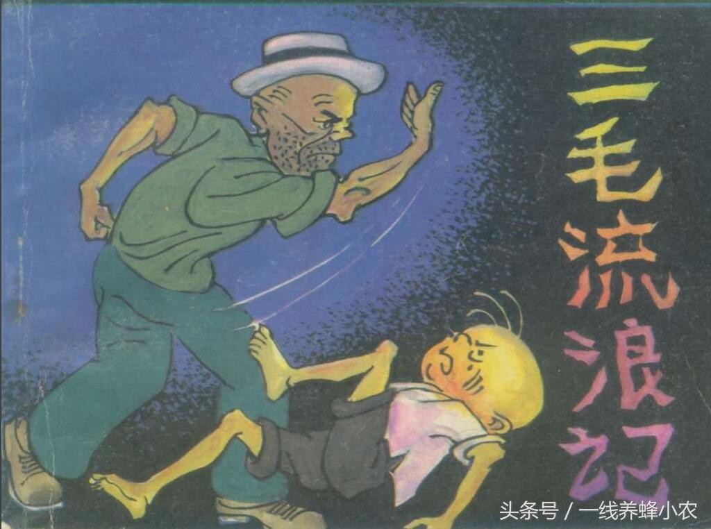 上海三毛最新動(dòng)態(tài)，自然美景探索之旅啟幕