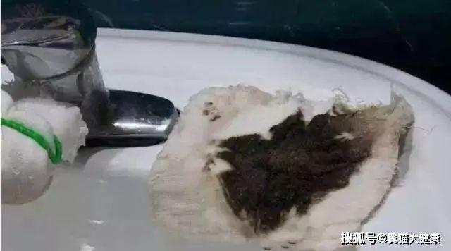 揭秘水污染真相，小杰的河流探索之旅——溫馨河流的秘密揭秘視頻