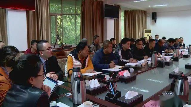 德昌最新新聞，擁抱自然，心靈寧靜之旅啟程