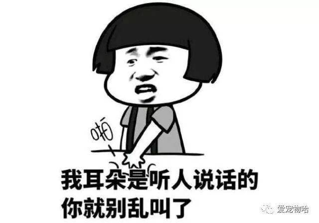 最新枕邊笑話(huà)，科技小寶貝，生活添樂(lè )趣