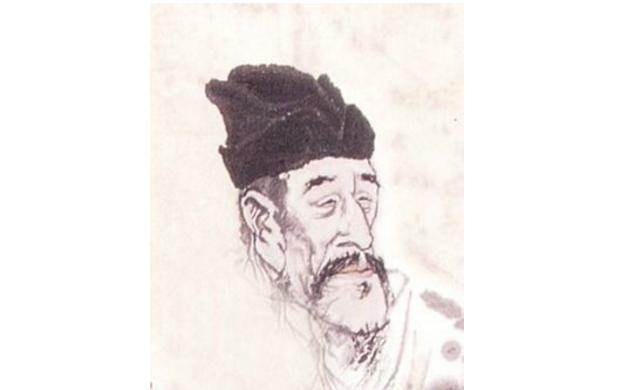 最新孤雁圖片，展現自然之美與深意的瞬間
