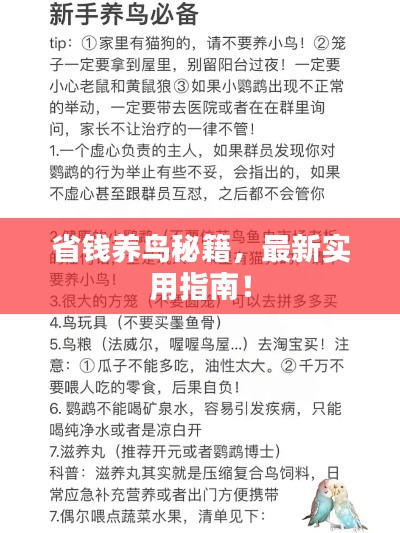 最新養鳥(niǎo)法規解析，觀(guān)點(diǎn)闡述與深度探討