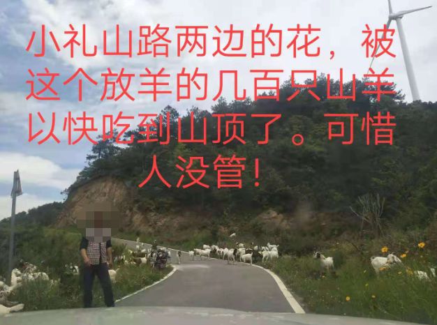 大悟最新路，探索未知，自信成就夢(mèng)想之旅的啟程