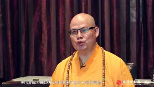 法師最新視頻揭秘，魔法與友情的奇妙日常之旅