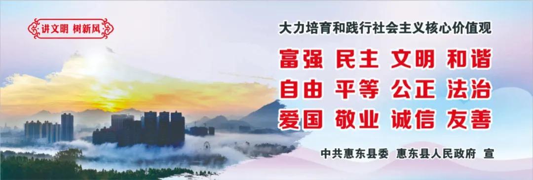 惠州肺炎最新動(dòng)態(tài)，小巷深處的獨特小店背后的故事