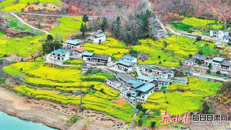 揭秘文縣，歷史背景、重大事件與時(shí)代地位全景展示