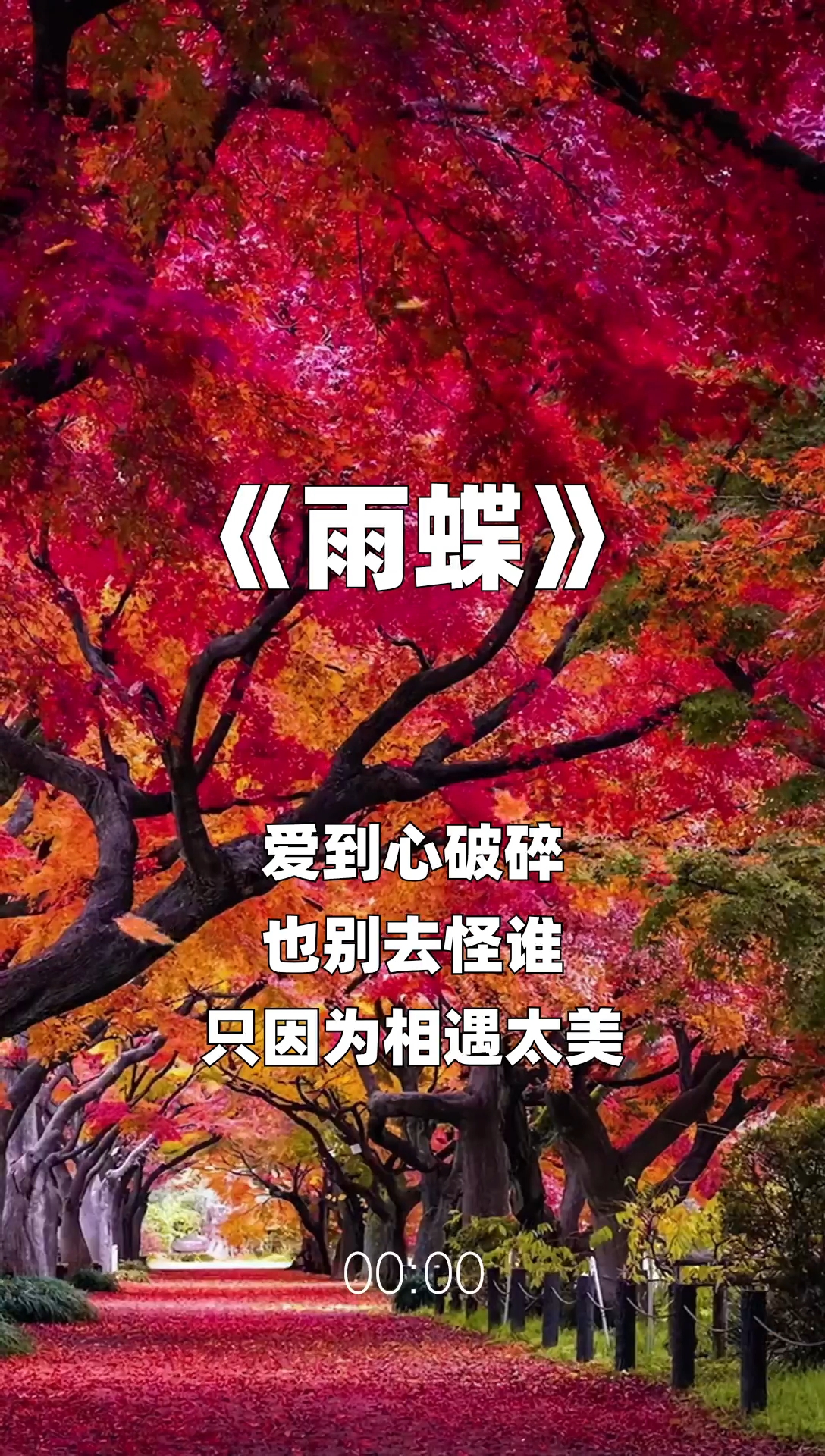 雨蝶最新步驟指南，如何完成任務(wù)或學(xué)習技能？
