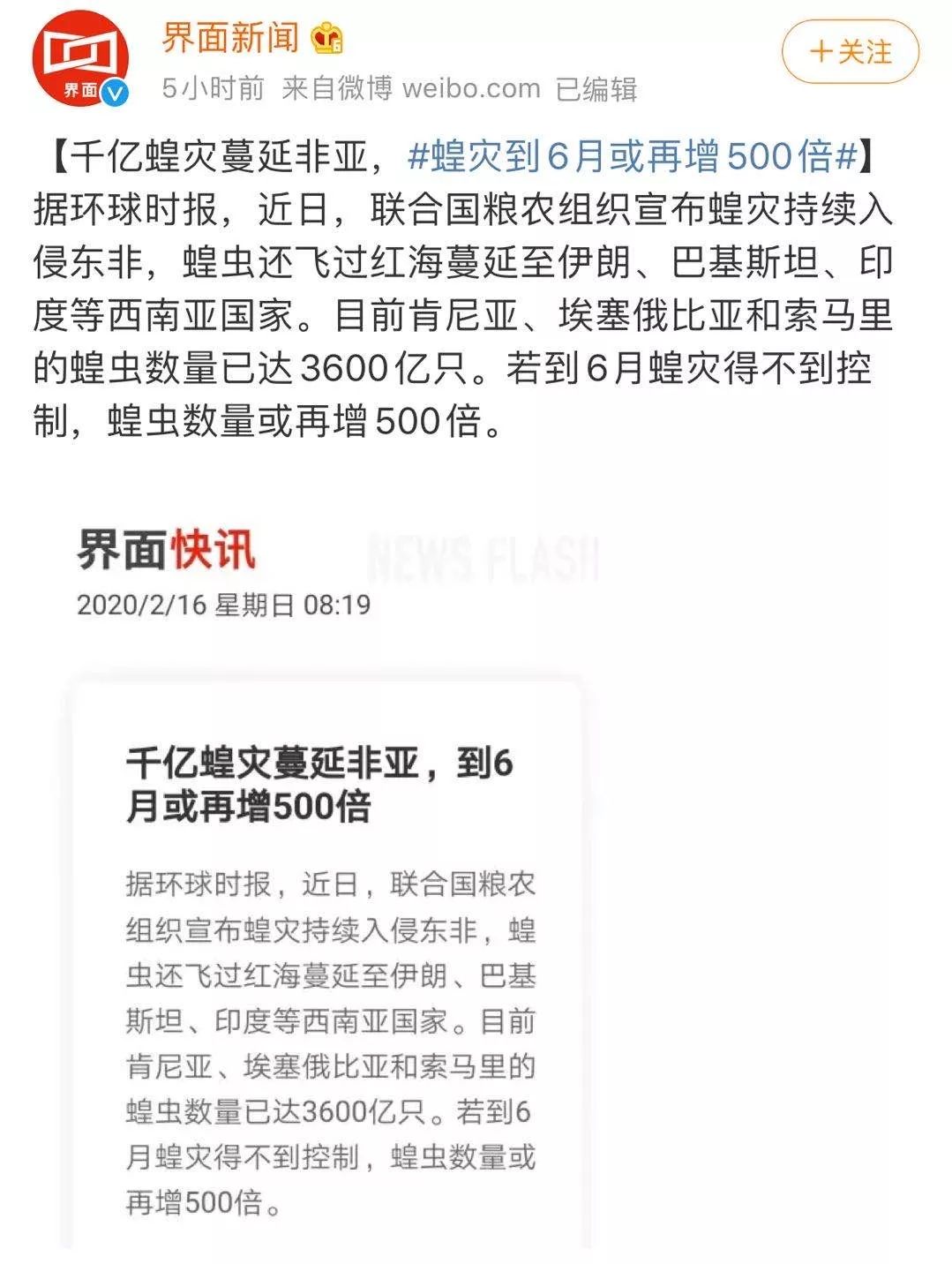 世界蝗災最新動(dòng)態(tài)，探索自然美景的輕松之旅