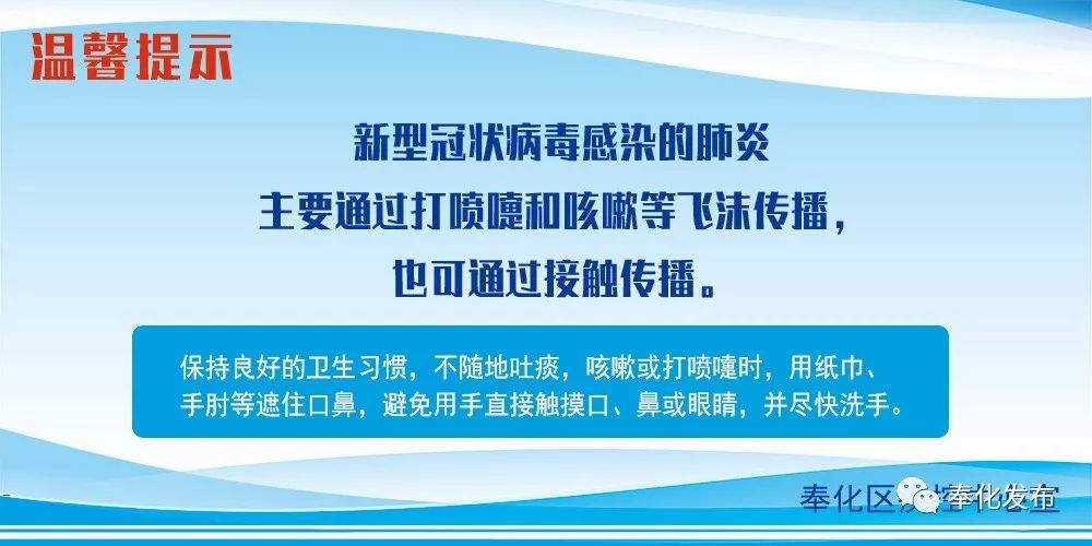 余姚最新確診背后的自然探索之旅，重拾心靈寧靜與平和