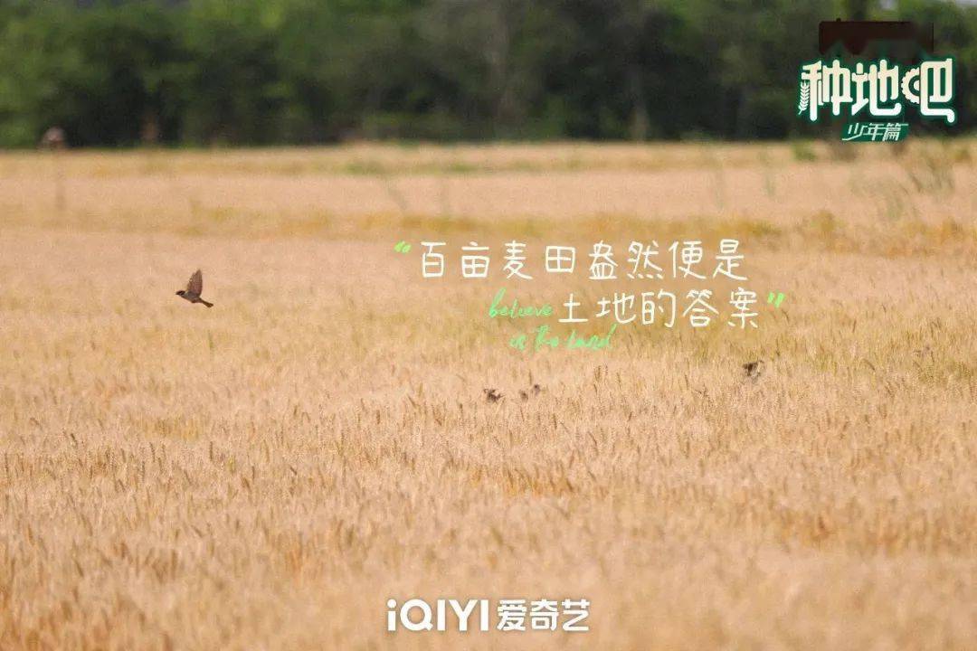 種地吧最新語(yǔ)錄，探索未來(lái)農業(yè)的高科技魅力