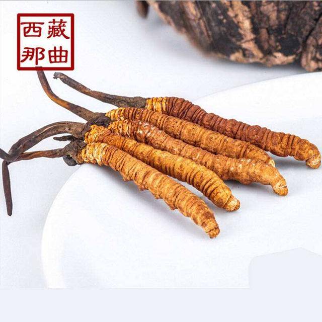 揭秘2025年蟲(chóng)草最新價(jià)格，探尋小巷中的秘密行情！