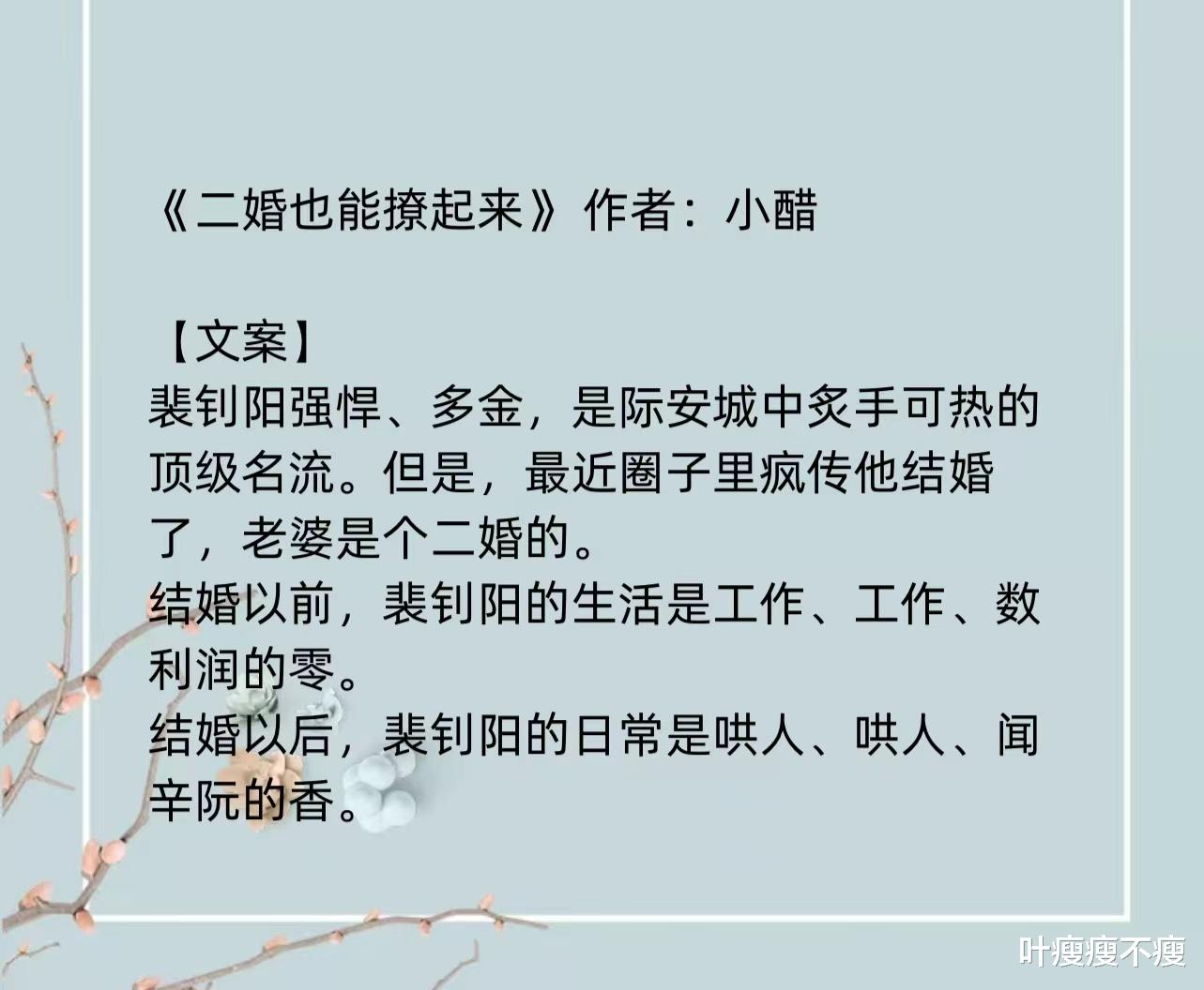 最新二婚小說(shuō)，小巷深處的浪漫故事